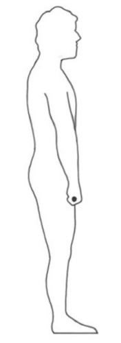 ALT TEXT